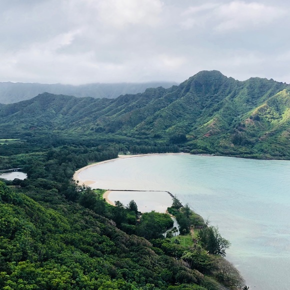 ☀️A L O H A 🌈 - Picture 4 of 4